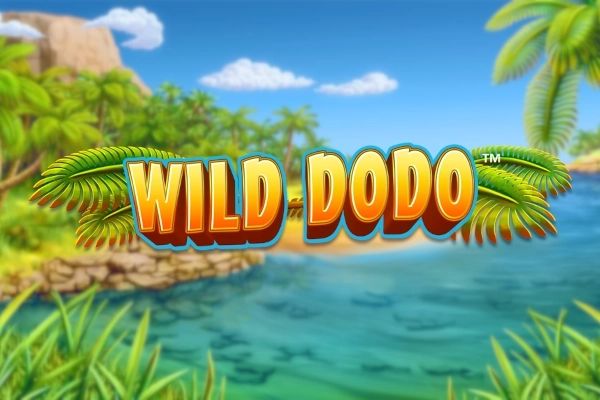 Wild Dodo cover