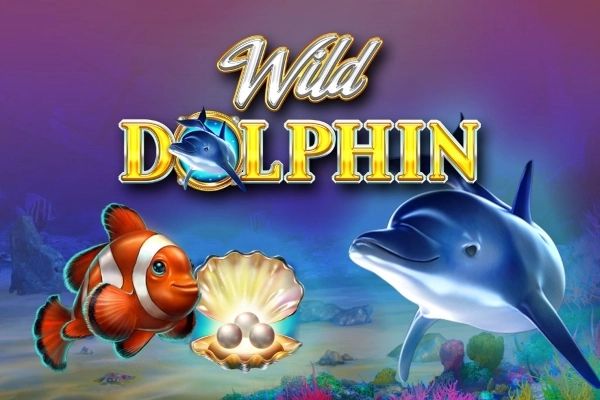 Wild Dolphin cover