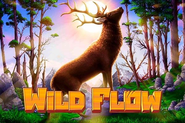 Wild Flow cover
