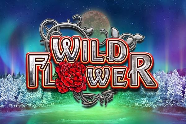 Wild Flower cover