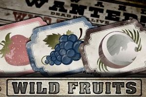 Wild Fruits cover