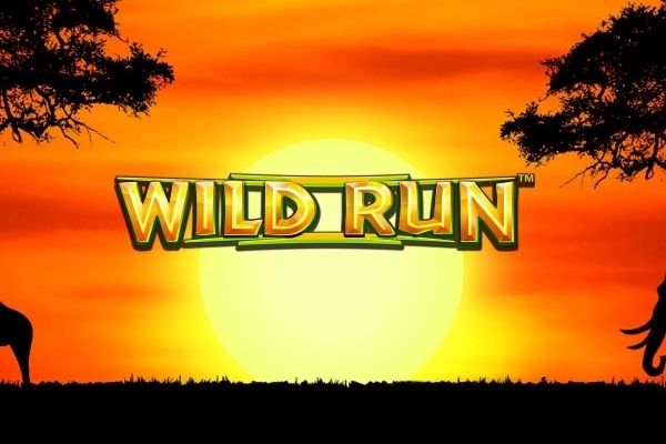 Wild Run cover