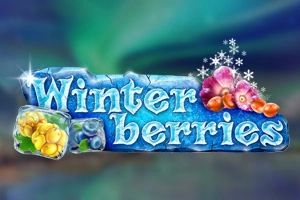 Winterberries cover