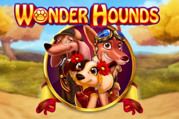 Wonderhounds cover